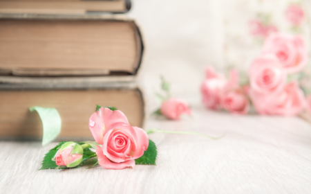 4 Essential Tips to Know Why Romantic Books Can Make You Happy